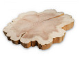 Sequoia +/- 90cm 