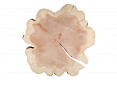 Sequoia +/- 90cm doorsnede