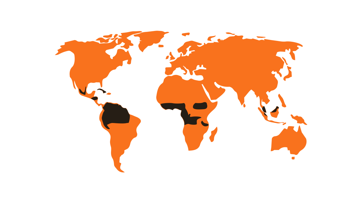 05052026 wereldkaart tropisch