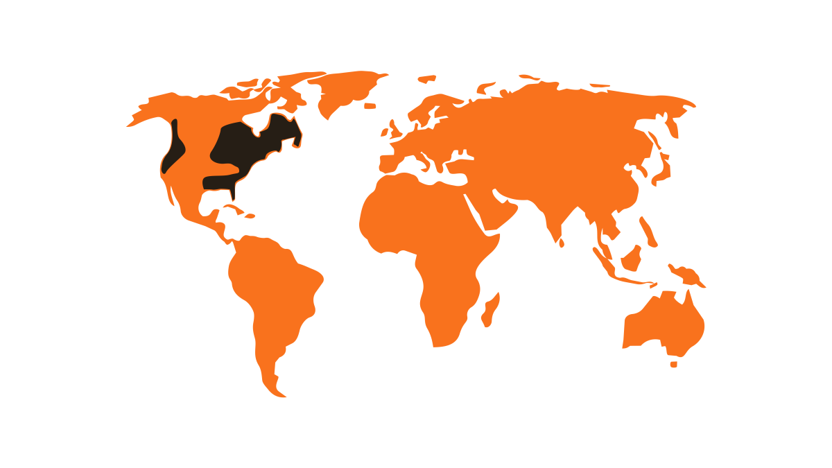 05052026 wereldkaart amerikaans