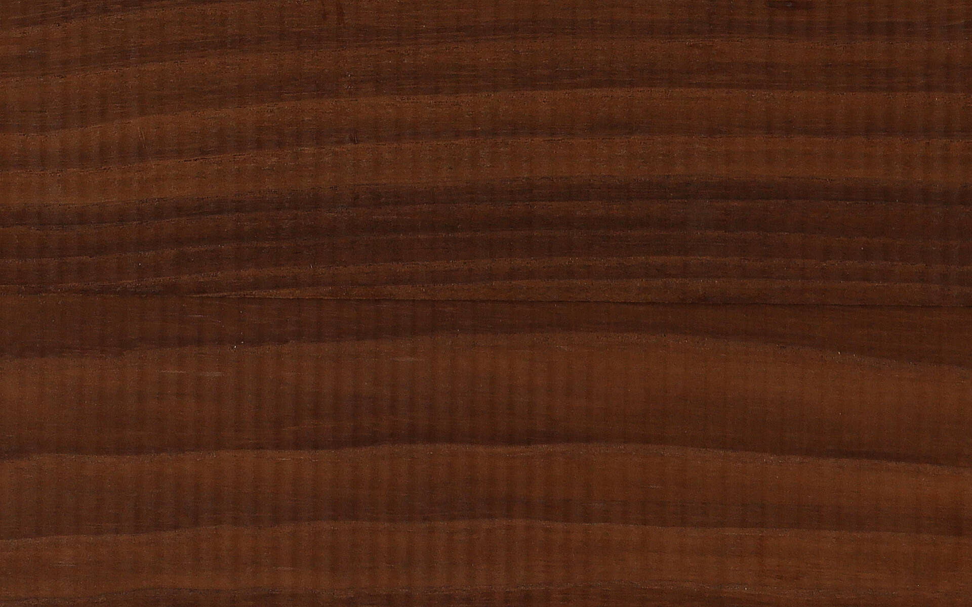 EssenThermowood