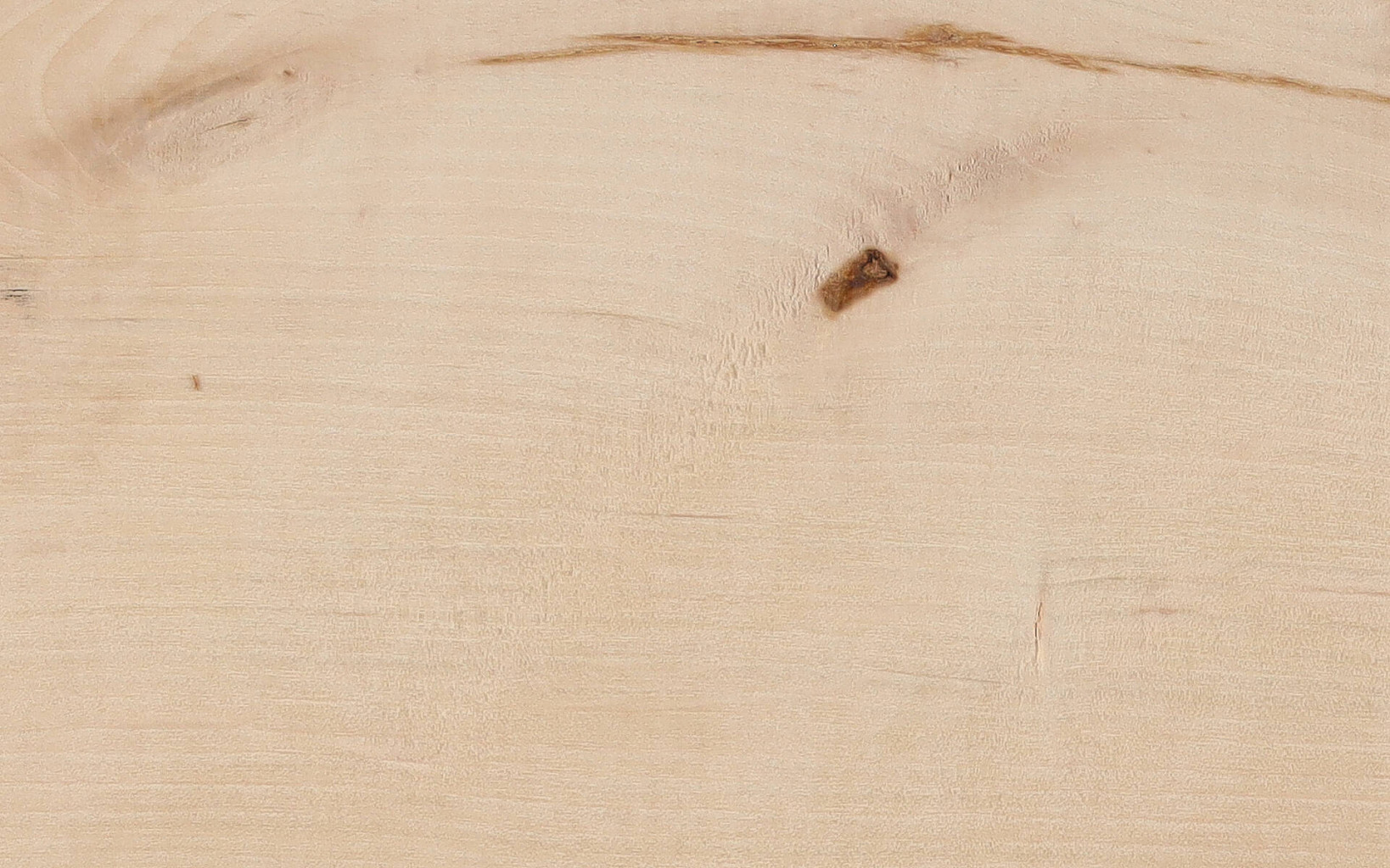 Yellow Poplar
