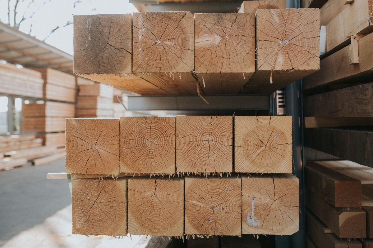 baxhout evaschweizerfotografie 6