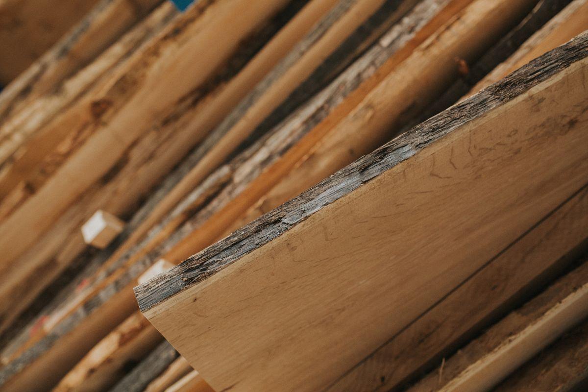 baxhout evaschweizerfotografie 20