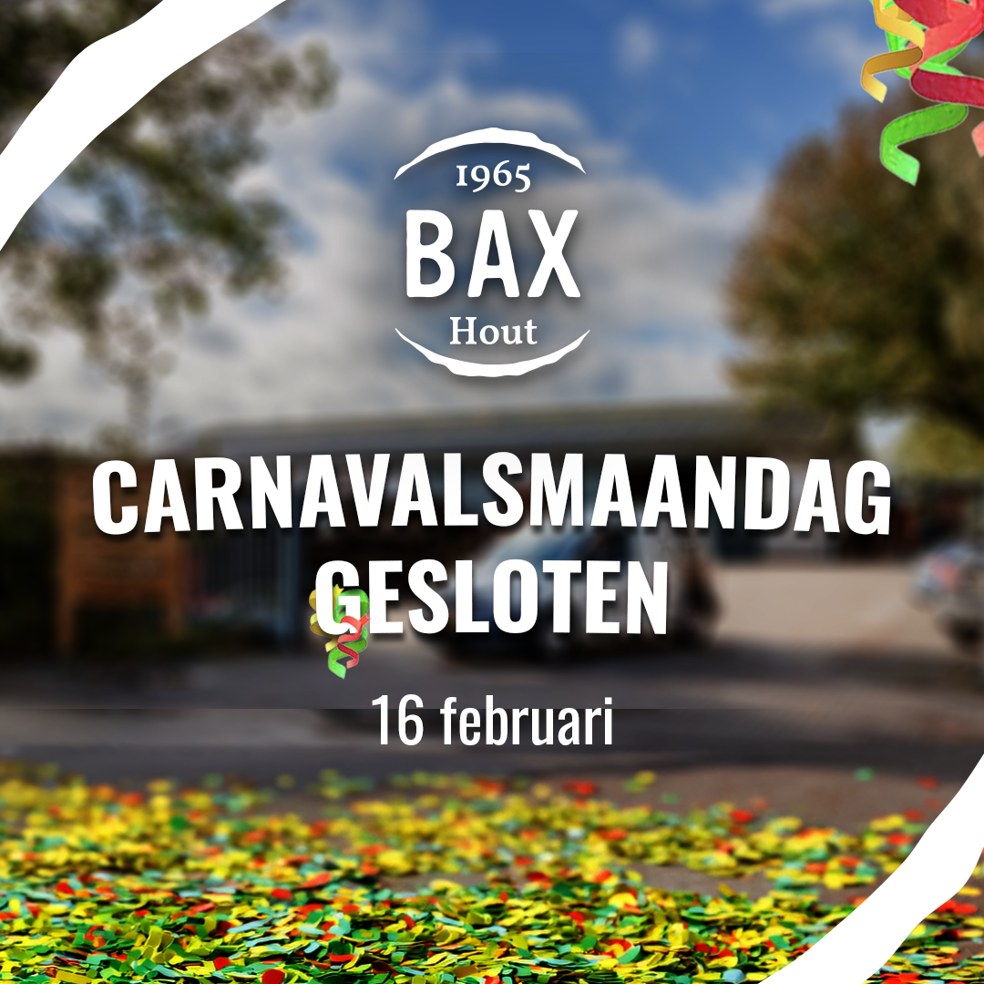 facebook post carnaval 1080x1080px