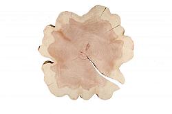 Sequoia boomstamschijf (nr. 2283)