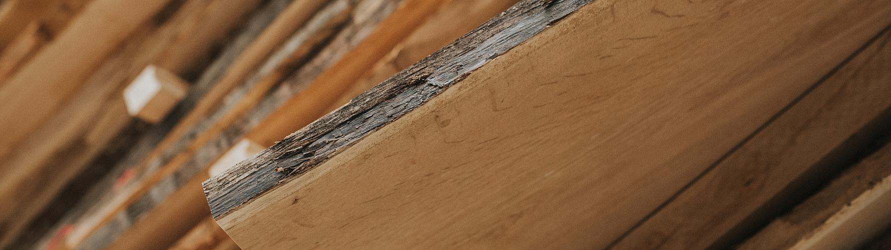 Boomstam wandplank