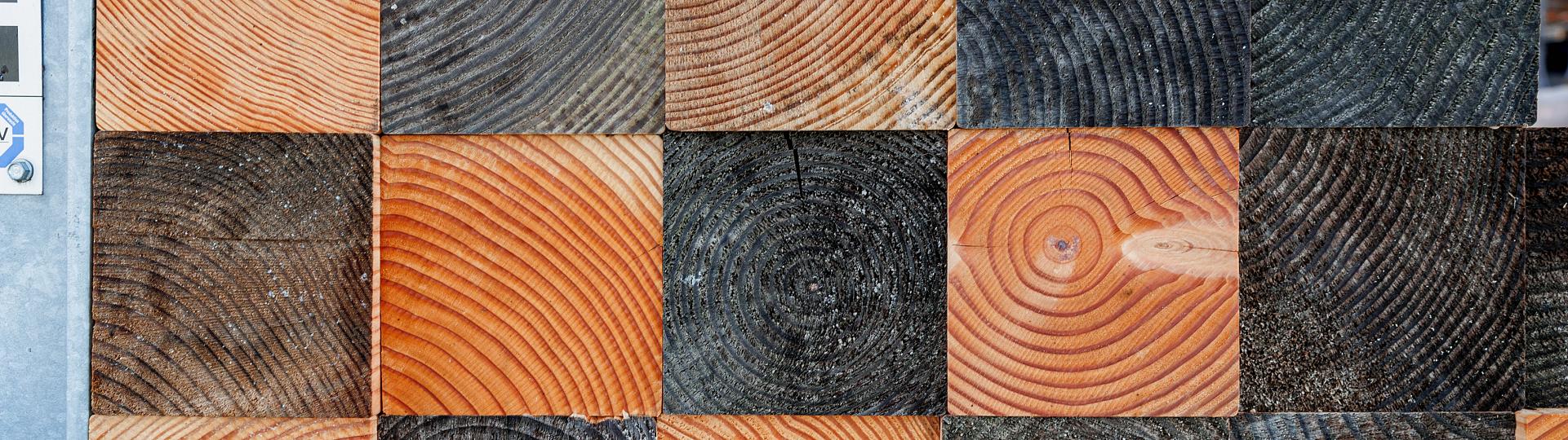 Houten palen