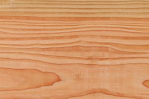 <p>Douglashout is de houtsoort van nu bij exterieur gebruik. Hij is zeer breed toepasbaar bij buiten gebruik vanwege zijn natuurlijke duurzaamheid. Het wordt gewaardeerd om zijn natuurlijke schoonheid en veelzijdigheid</p>
