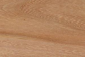 <span segoe="" style="color: rgb(55, 65, 81); font-family: Söhne, ui-sans-serif, system-ui, -apple-system, " ui=""><span segoe="" style="color: rgb(55, 65, 81); font-family: Söhne, ui-sans-serif, system-ui, -apple-system, " ui="">Iepenhout is een houtsoort afkomstig van de iepenboom, die bekend staat om zijn unieke kenmerken. I</span>epenhout is een aantrekkelijke houtsoort met een mix van esthetische kwaliteiten, goede buigzaamheid en redelijke duurzaamheid, wat het geschikt maakt voor diverse toepassingen in de houtbewerkingsindustrie.</span>