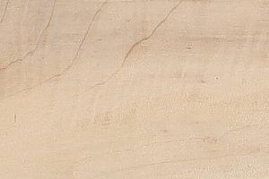 <meta charset="UTF-8"><span segoe="" style="font-size: 16px; font-style: normal; font-variant-caps: normal; font-weight: 400; letter-spacing: normal; text-align: start; text-indent: 0px; text-transform: none; white-space: pre-wrap; word-spacing: 0px; -webkit-text-stroke-width: 0px; text-decoration: none; caret-color: rgb(55, 65, 81); color: rgb(55, 65, 81); font-family: Söhne, ui-sans-serif, system-ui, -apple-system, " ui="">Populierenhout is een zachtere houtsoort met een lichte kleur en uitstekende bewerkbaarheid, waardoor het geschikt is voor verschillende toepassingen, voornamelijk in de bouw van lichtgewicht structuren, verpakkingen en multiplex.</span>