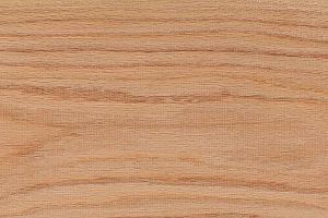 Amerikaans rood eiken, botanisch bekend als Quercus rubra, is een van de meest voorkomende eikensoorten in Noord-Amerika en wordt gewaardeerd vanwege zijn schoonheid, duurzaamheid en veelzijdigheid in verschillende toepassingen.