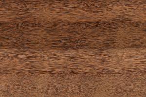 <span style="font-style: normal; font-variant-caps: normal; font-weight: 400; letter-spacing: normal; orphans: auto; text-align: start; text-indent: 0px; text-transform: none; white-space: normal; widows: auto; word-spacing: 0px; -webkit-text-stroke-width: 0px; text-decoration: none; caret-color: rgb(0, 0, 0); color: rgb(0, 0, 0); font-size: medium; float: none; display: inline !important;">Kokoshout is afkomstig van de stam van oudere kokospalmen die geen vruchten meer dragen. Het hout is hard en taai, met een opvallende vezelstructuur. Dankzij deze eigenschappen wordt kokoshout regelmatig toegepast in vloeren, meubels en decoratieve toepassingen.</span>