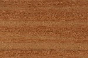 <h3><strong data-end="40" data-start="4">Bankirai Hout: Duurzaam en Sterk</strong></h3>

<p>Bankirai is een zeer duurzame en sterke tropische houtsoort afkomstig uit Indonesi&euml;. Het hout heeft een lichtbruine tot geelbruine kleur met een subtiele glans, die na verloop van tijd kan vergrijzen wanneer het buiten wordt gebruikt. Vanwege de uitstekende weerstand tegen weersomstandigheden en de grote sterkte wordt Bankirai vaak ingezet voor veeleisende buitentoepassingen.</p>
