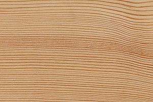 Larikshout is een populaire houtsoort voor buitentoepassingen dankzij zijn natuurlijke duurzaamheid en warme uitstraling. Het hout staat bekend om zijn sterkte, mooie vlamtekening en uitstekende weerstand tegen weersinvloeden, waardoor het ideaal is voor bijvoorbeeld gevelbekleding, schuttingen en tuinprojecten.