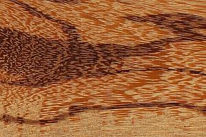 2644 tamarindehout 53089