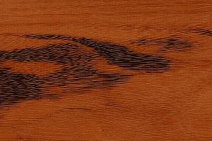 2700 tigerwood muiracatiara 53093