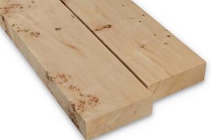 322 populieren hout hobby zolder  51100
