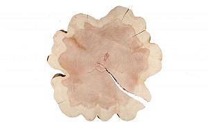 Sequoia +/- 90cm doorsnede