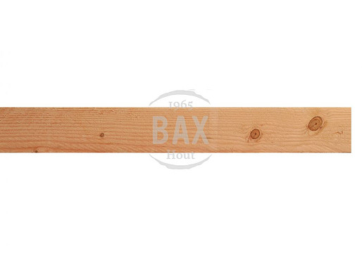 50x100mm 
