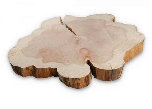 Sequoia +/-85cm doorsnede