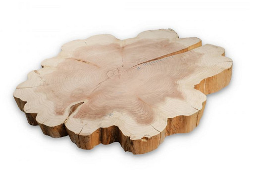 Sequoia +/- 90cm 