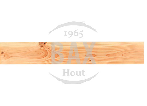 25x150mm 