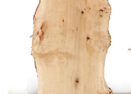 Populieren Burl schaaldeel 25cm breed, #2512