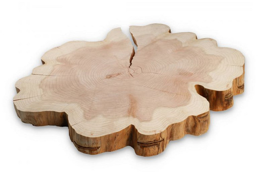 Sequoia +/- 90cm doorsnede