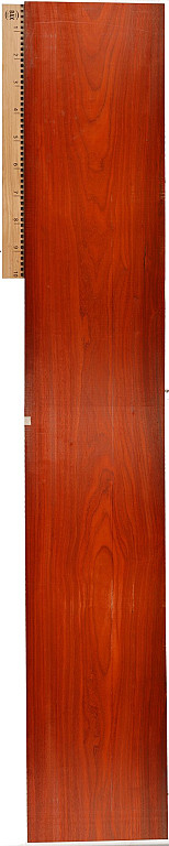 62x510mm 